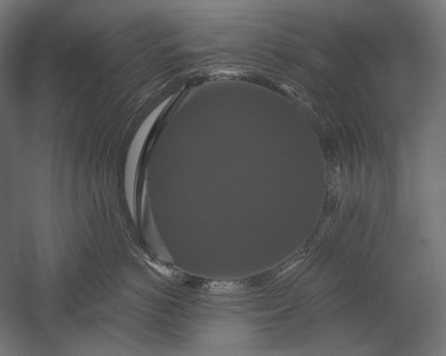 X0000051260766200507011718