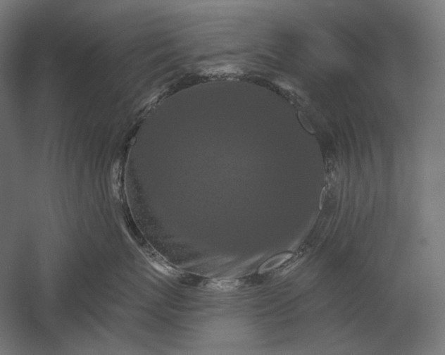 X0000051260767200507011718