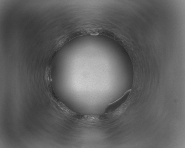 X0000051260768200507011718
