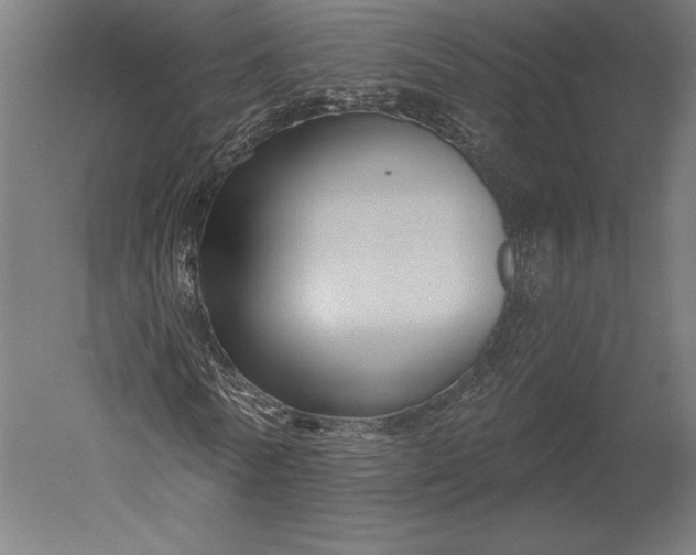 X0000051260770200507011717