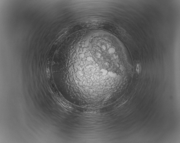 X0000051260771200507011717