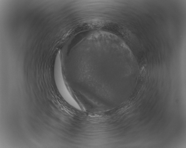 X0000051260772200507011717