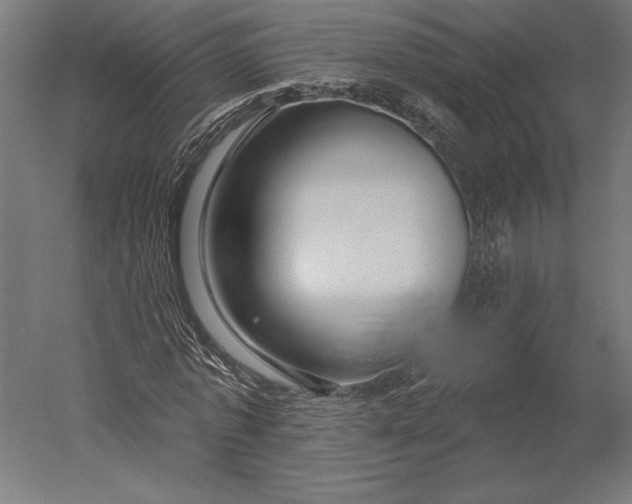 X0000051260773200507011717