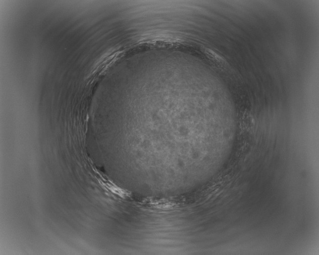 X0000051260774200507011717