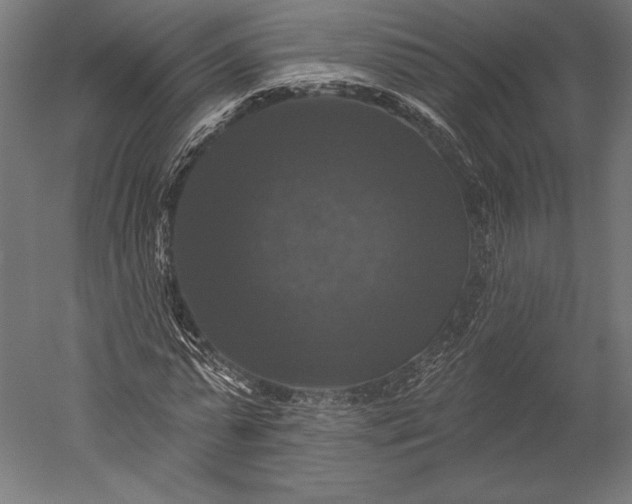 X0000051260775200507011717