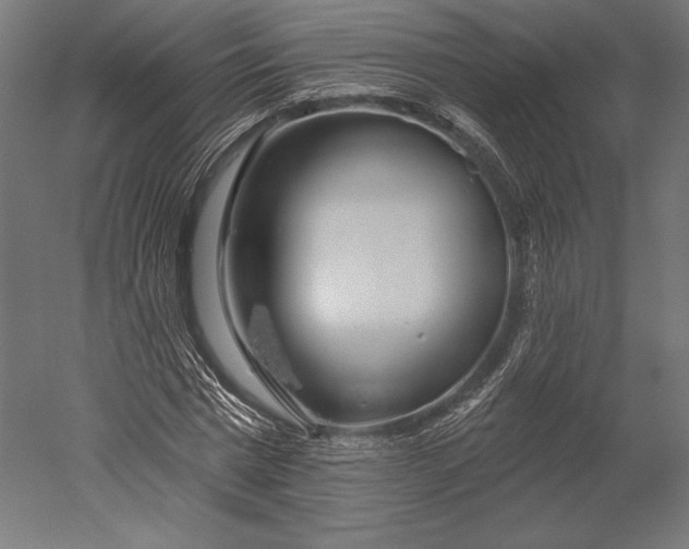 X0000051260777200507011717