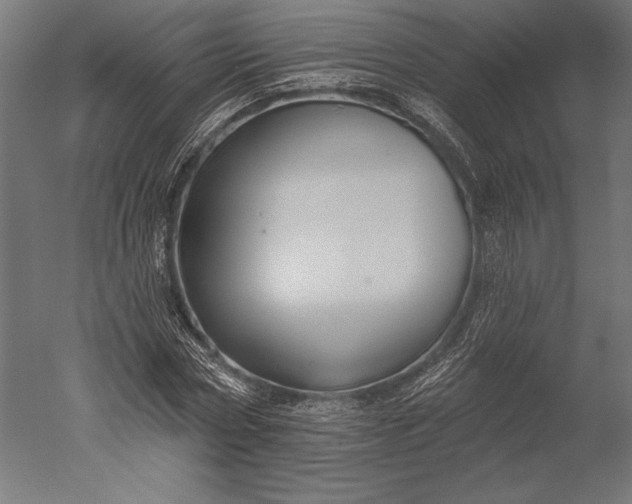 X0000051260778200507011717