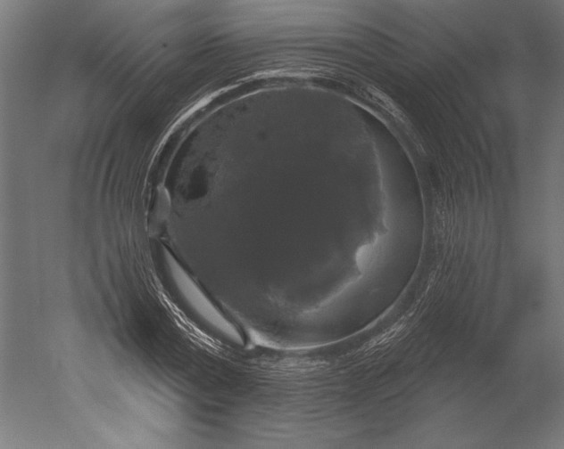 X0000051260779200507011717