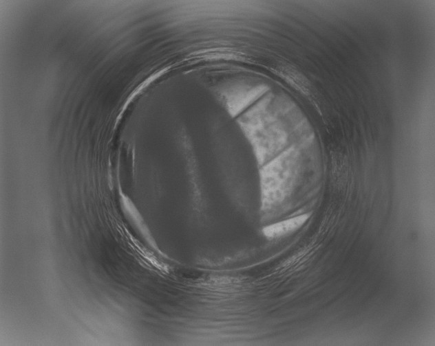 X0000051260782200507011717
