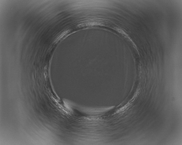 X0000051260785200507011717