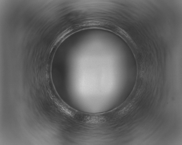 X0000051260786200507011717