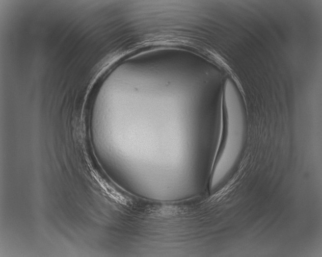 X0000051260787200507011717