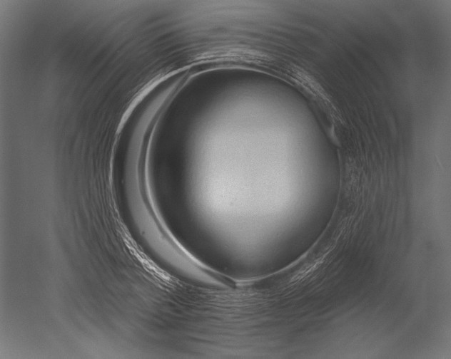 X0000051260788200507011717