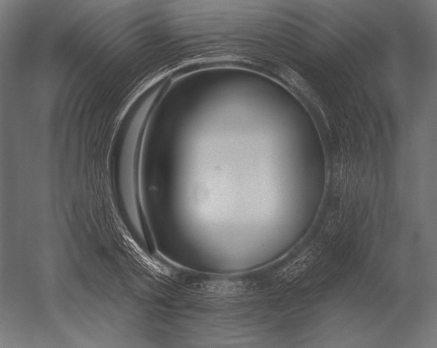 X0000051260789200507011717