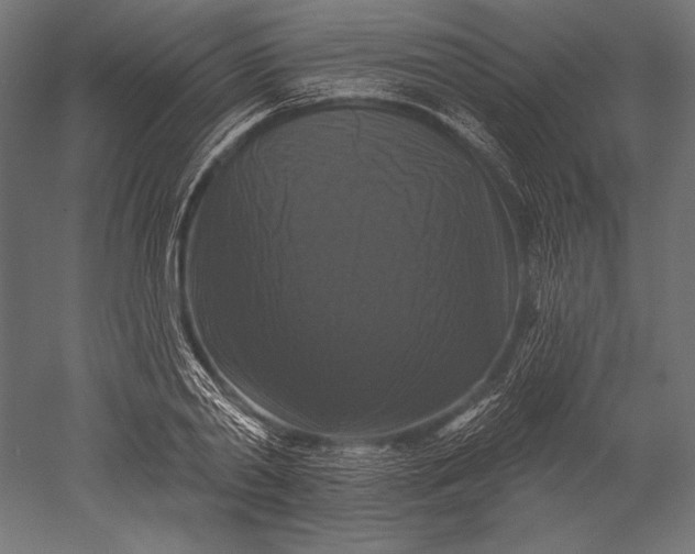 X0000051260790200507011717