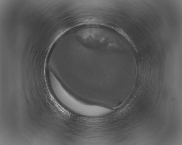 X0000051260791200507011717