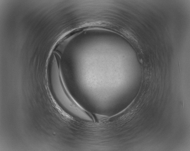 X0000051260792200507011717