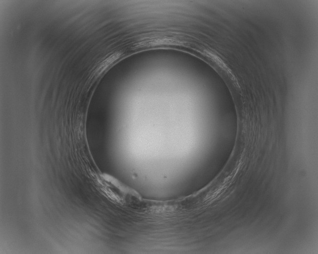 X0000051260793200507011717
