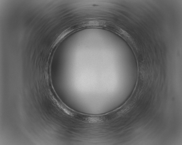 X0000051260794200507011717