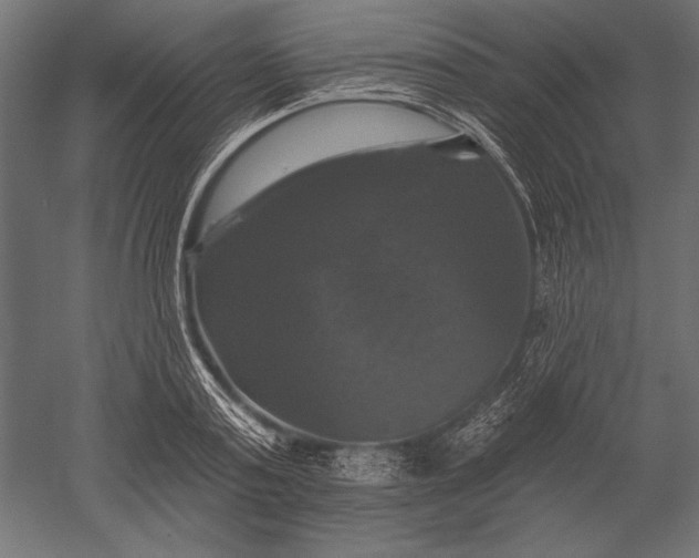 X0000051260795200507011717
