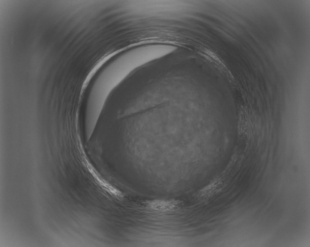 X0000051260796200507011717