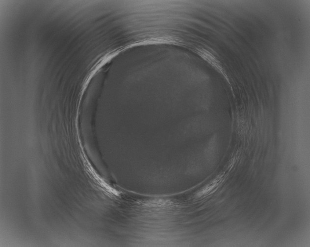 X0000051260797200507011717
