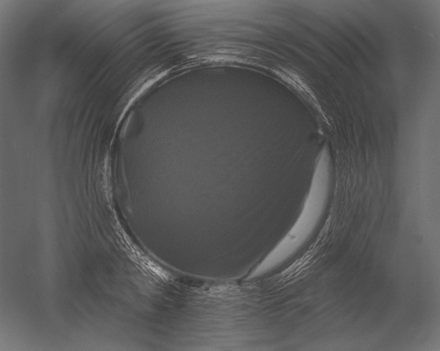 X0000051260798200507011717
