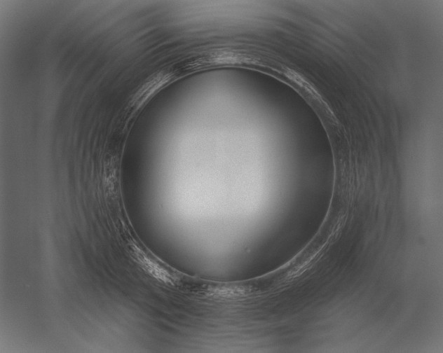 X0000051260801200507011717