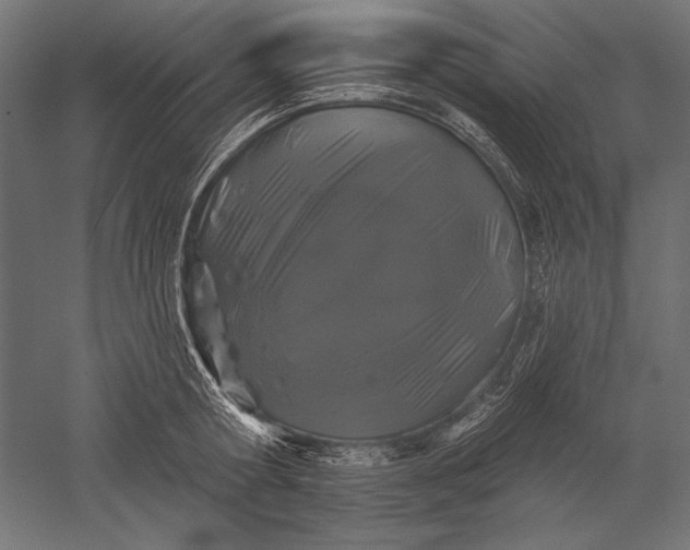 X0000051260802200507011717