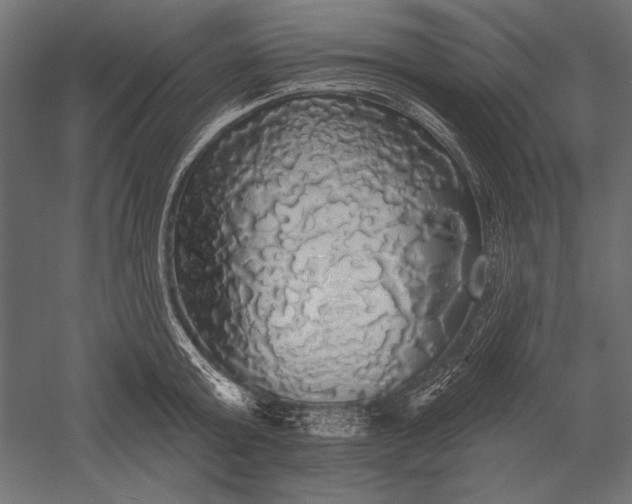 X0000051260803200507011717