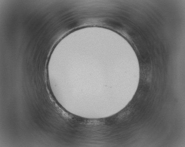 X0000051260807200507011717