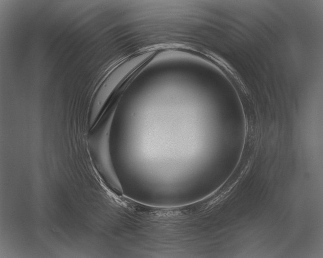 X0000051260809200507011717