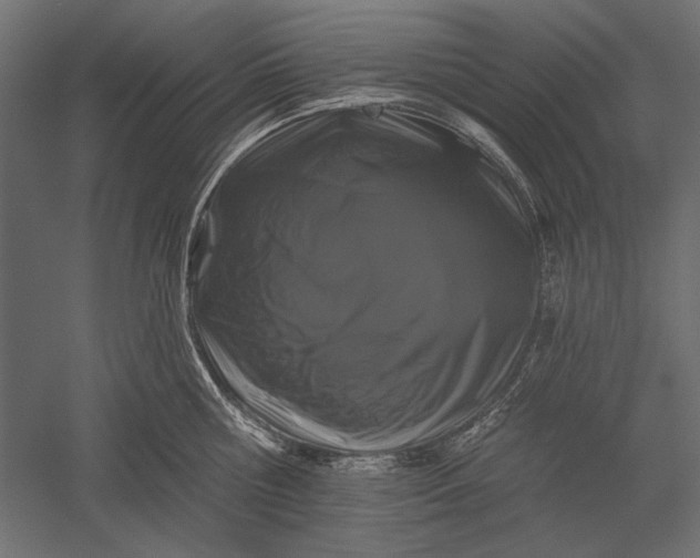 X0000051260810200507011717