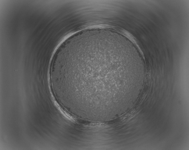 X0000051260811200507011717