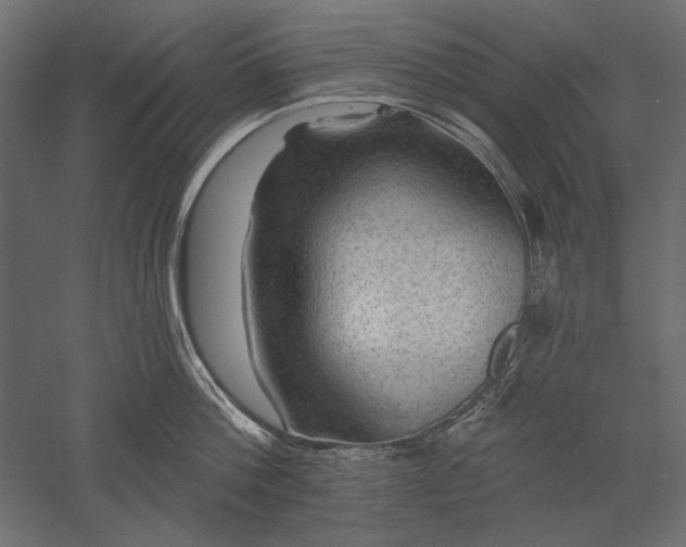 X0000051260812200507011717