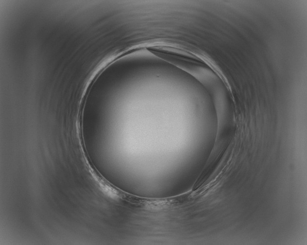 X0000051260813200507011717