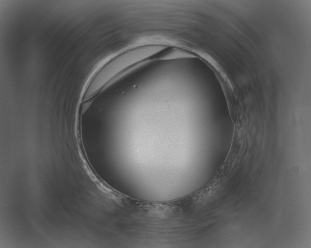 X0000051260815200507011717