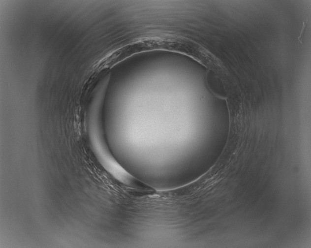 X0000051260822200507011716