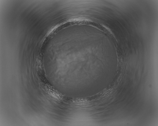 X0000051260823200507011716
