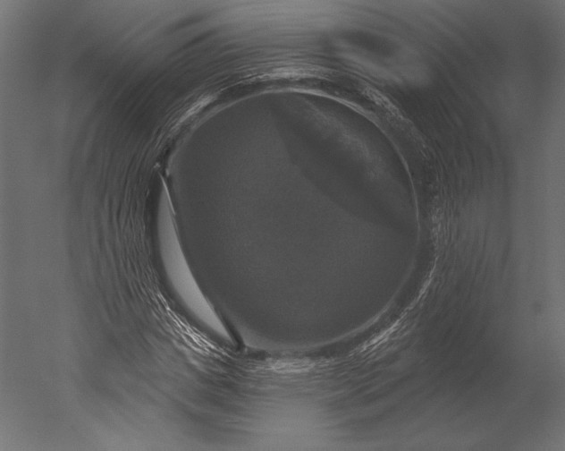 X0000051260825200507011716