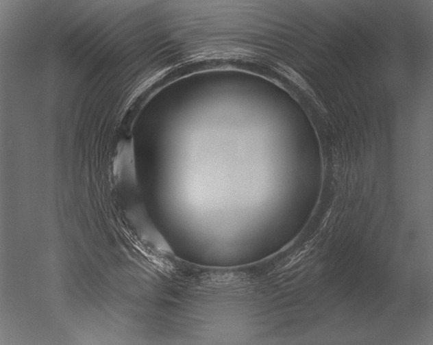 X0000051260826200507011716