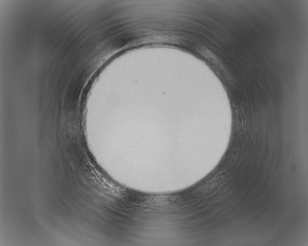 X0000051260828200507011716