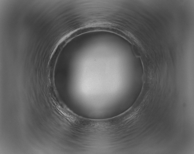X0000051260830200507011716