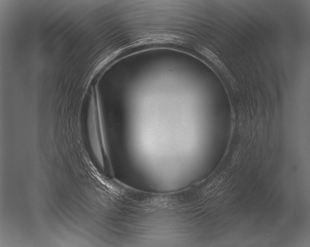 X0000051260834200507011716