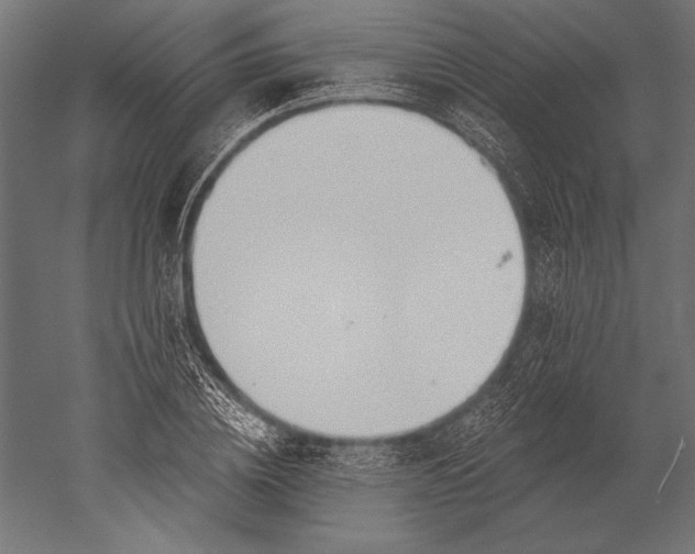 X0000051260836200507011716
