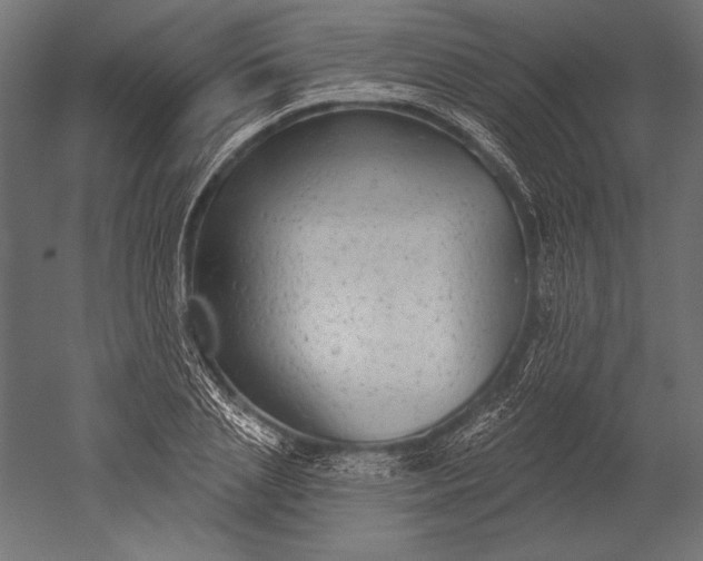 X0000051260837200507011716