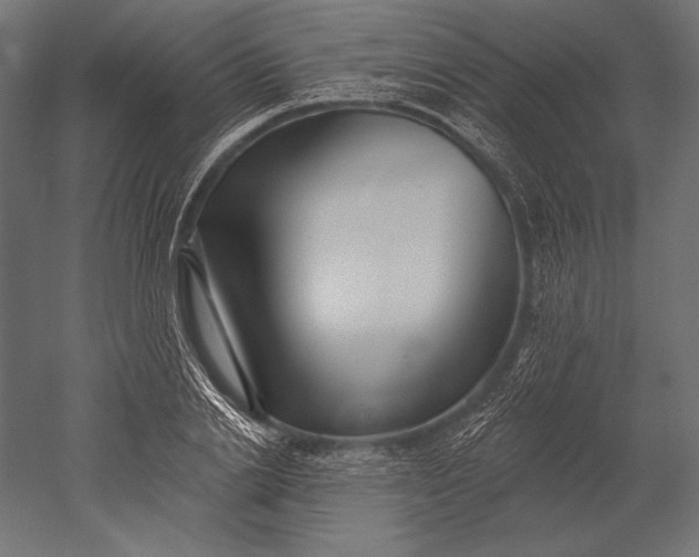 X0000051260838200507011716
