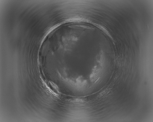 X0000051260839200507011716