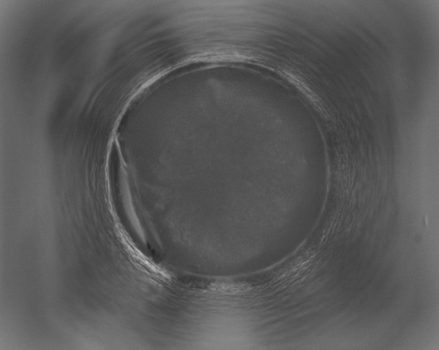 X0000051260840200507011716