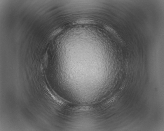 X0000051260841200507011716